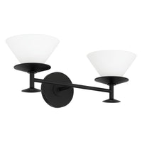 Tremolo 20" 2-Light Vanity Light