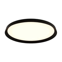 21" Dual-Light Flush Mount