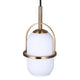 Eve 1-Light Pendant