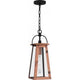 Carolina 1-Light Mini Pendant