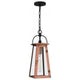 Carolina 1-Light Mini Pendant