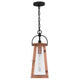 Carolina 1-Light Mini Pendant