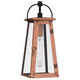 Carolina 1-Light Mini Pendant