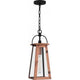 Carolina 1-Light Outdoor Pendant