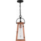Carolina 1-Light Outdoor Pendant
