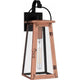 Carolina 1-Light Large Outdoor Lantern