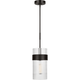 Visual Comfort Studio Collection - Geneva Large Pendant - Lights Canada