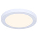 LED Disc Light