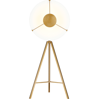 Ultra Light Floor Lamp