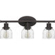 Caverly 3-Light Bath Light