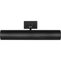 Kenyon 18" Picture Light