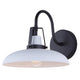 Jodi 1-Light Outdoor Lantern