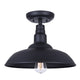 Valec 1-Light Flush Mount