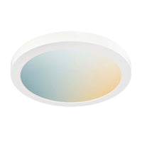 Smart 12" Flush Mount RGB+CCT