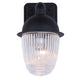 Seni 1-Light Outdoor Lantern