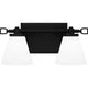 Daniels 2-Light LED Bath Light