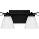 Daniels 2-Light LED Bath Light
