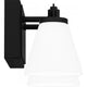 Daniels 2-Light LED Bath Light