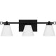Daniels 3-Light LED Bath Light