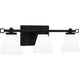 Daniels 3-Light LED Bath Light