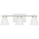 Daniels 3-Light LED Bath Light