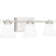 Daniels 3-Light LED Bath Light