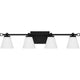 Daniels 4-Light LED Bath Light