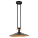 Tenon 20" 1-Light LED Pendant