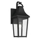 Cleary 16" 1-Light Outdoor Wall Light