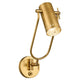 Ruehl 15" 1-Light Swing Arm Wall Sconce