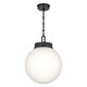 Andorra 15" 1-Light Pendant
