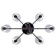 Aspen 6-Light Chandelier