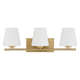 Fauna Grove 3-Light Medium 25" Vanity