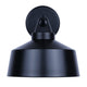 Orillia 1-Light Outdoor Lantern