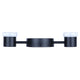 Vanya 2-Light Sconce
