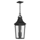 Cleary 24.75" 2-Light Outdoor Pendant