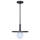 Payton 1-Light Pendant
