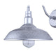 Desi 1-Light Outdoor Lantern