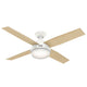 Dempsey Fan with Light 52"