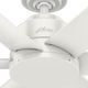 Kennicott Outdoor Fan 44"