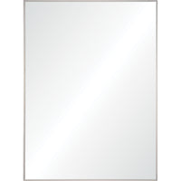 Carmelle 40" Tall Rectangle Wall Mirror