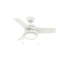 Aker Fan with LED Light 36"