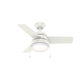 Aker Fan with LED Light 36"