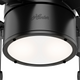 Beck Fan with LED Light 42"