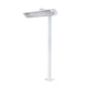 61" 8' Pole Mount with Single Crossbar