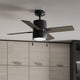 Beck Fan with LED Light 42"