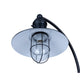 Cavea 1-Light Outdoor Lantern