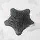 Starfish Hair Catcher