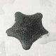 Starfish Hair Catcher