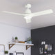 Aeronaut Outdoor Smart Fan with LED Light 52"